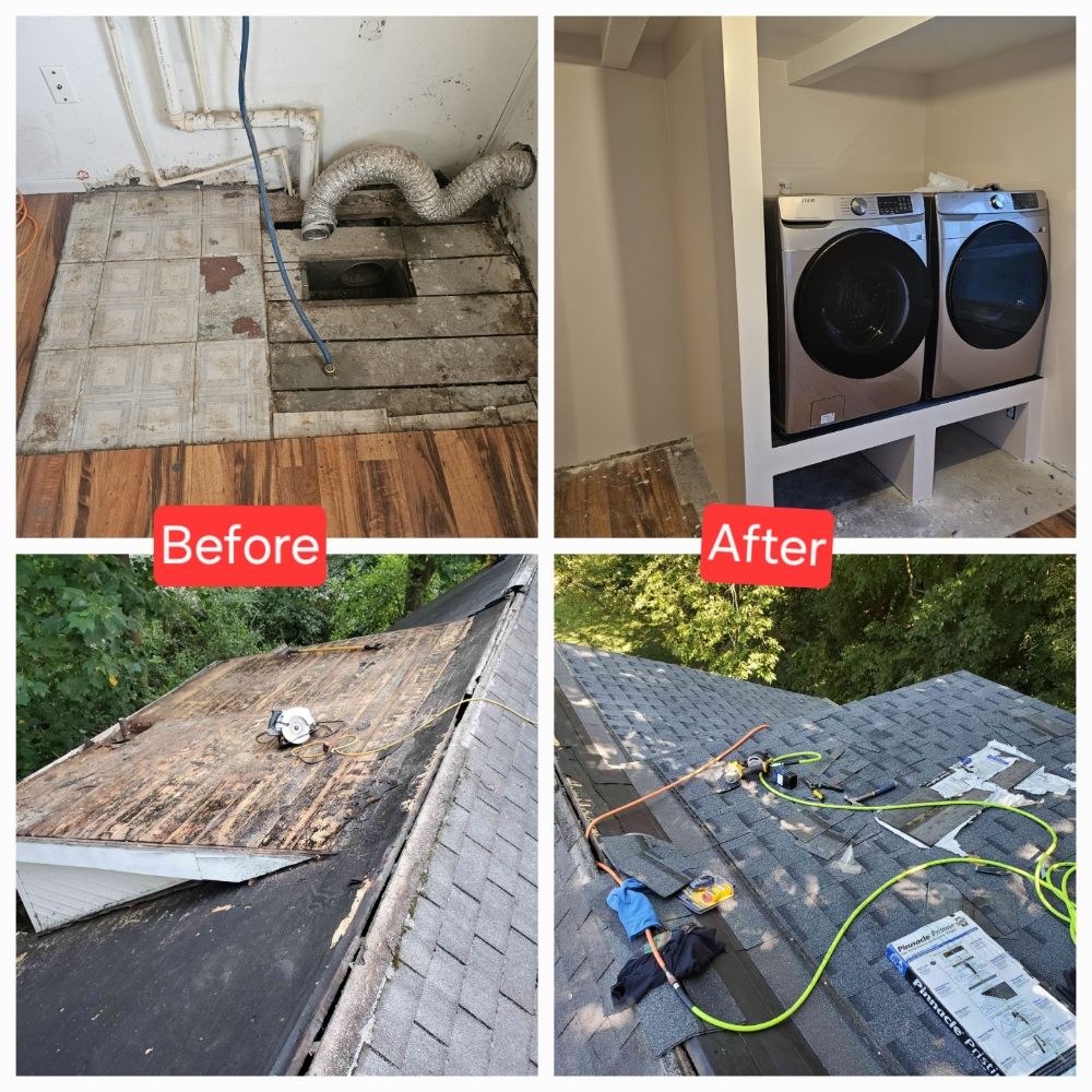 Slide of The Worker Bee