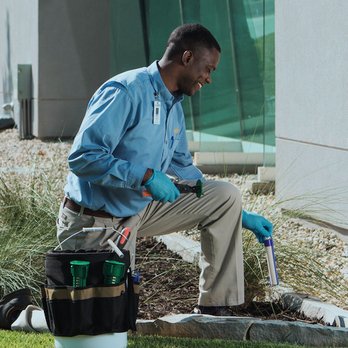 Cook's Pest Control - Technician Servicing - Pest Control Near Me - Rome, Georgia Cook's Pest Control - Technician Servicing - Pest Control Near Me - Rome, Georgia