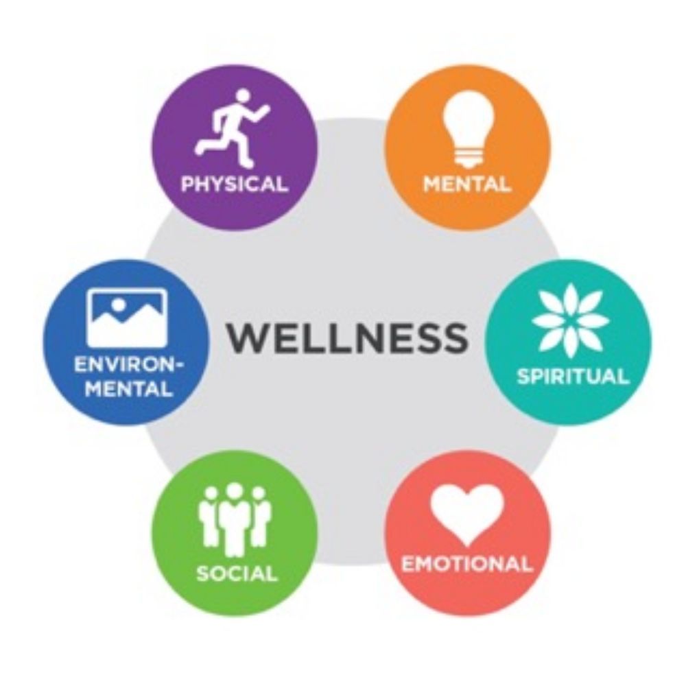 Yin and Yang Massage Therapy Logo