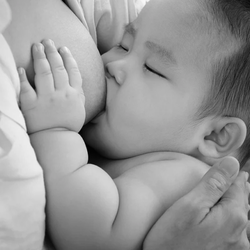Elaine O'Neill Lactation