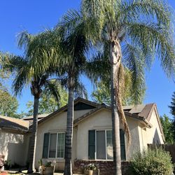 Bosquez Landscaping & Junk Removal