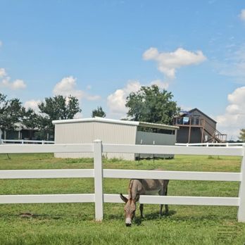 Milk & Honey Ranch - Bed & Breakfast Near Me - Burton, Texas Milk & Honey Ranch - Bed & Breakfast Near Me - Burton, Texas