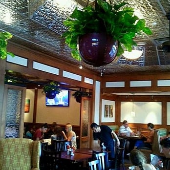 Black Walnut Café - Cafes Near Me - Katy, Texas