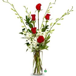 Schramm's Flowers & Gifts - Roses and orchids