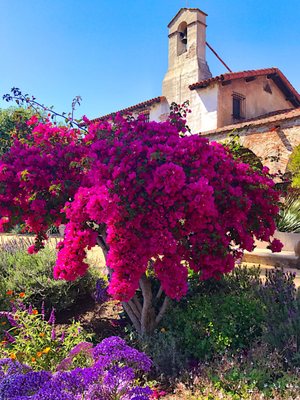 Mission San Juan Capistrano by null