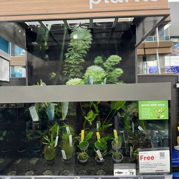 Petco - Freshwater plants - Pet Stores Near Me - Porter Ranch, California Petco - Freshwater plants - Pet Stores Near Me - Porter Ranch, California