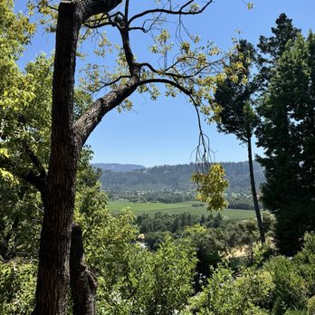 Rombauer Vineyards - View - Wineries Near Me - St. Helena, California Rombauer Vineyards - View - Wineries Near Me - St. Helena, California