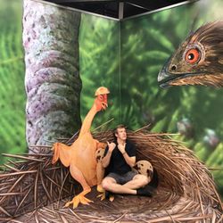 3D Trick Art Gallery