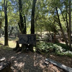 Jikoji Zen Center