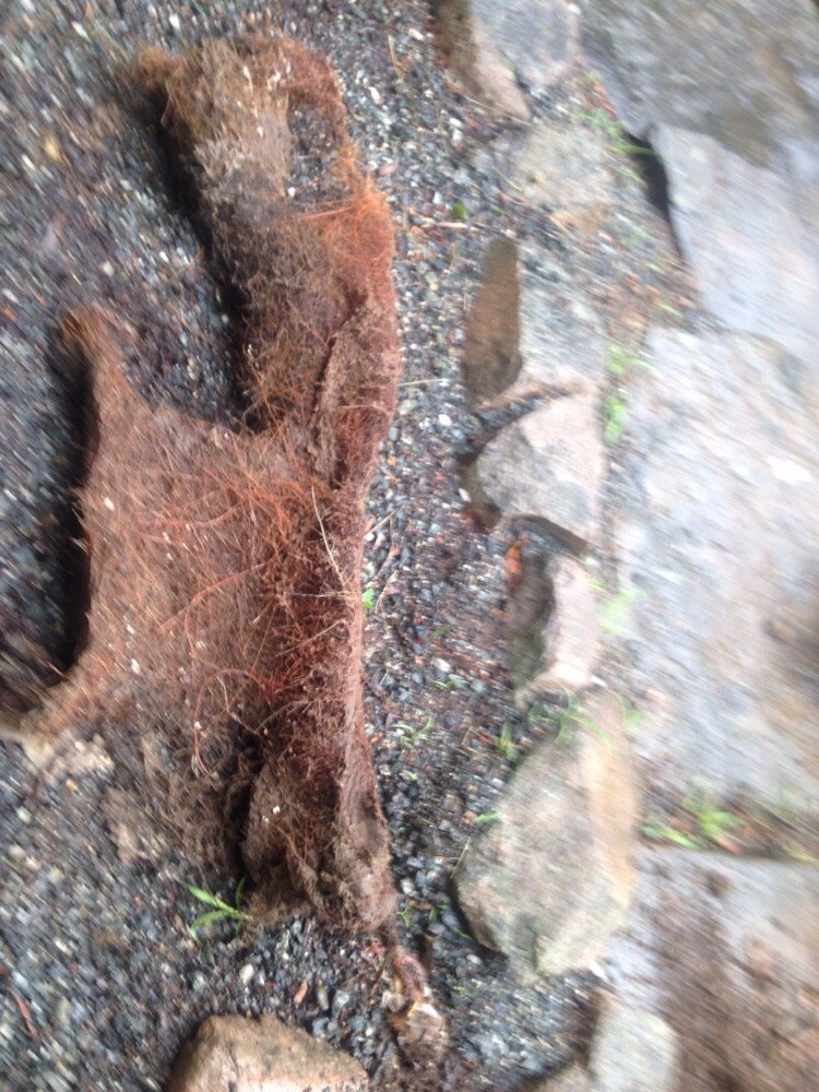 Slide of J.R. Anderson & Daughter Sewer and Drain Services