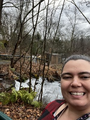 Western North Carolina Nature Center by null