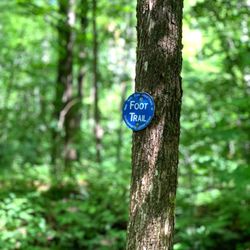 Catskill Mountain - Stay On It