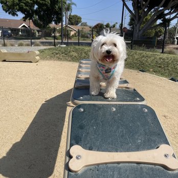 Maxwell Dog Park - Dog Parks Near Me - Anaheim, California Maxwell Dog Park - Dog Parks Near Me - Anaheim, California