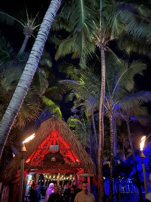 Square Grouper Tiki Bar Jupiter Inlet by null