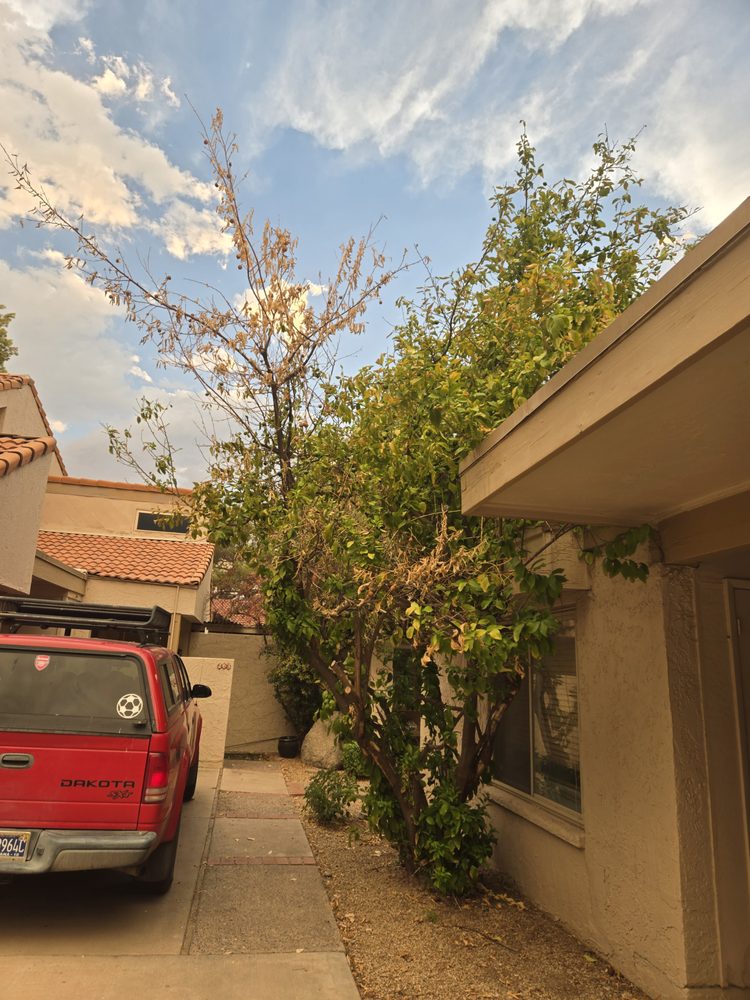 Heywood Community Management - property management company in Gilbert, AZ