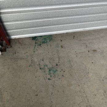 KO Storage - Evans Mills - Eaten up poison and dropping in the unit - Self Storage Near Me - Evans Mills, New York