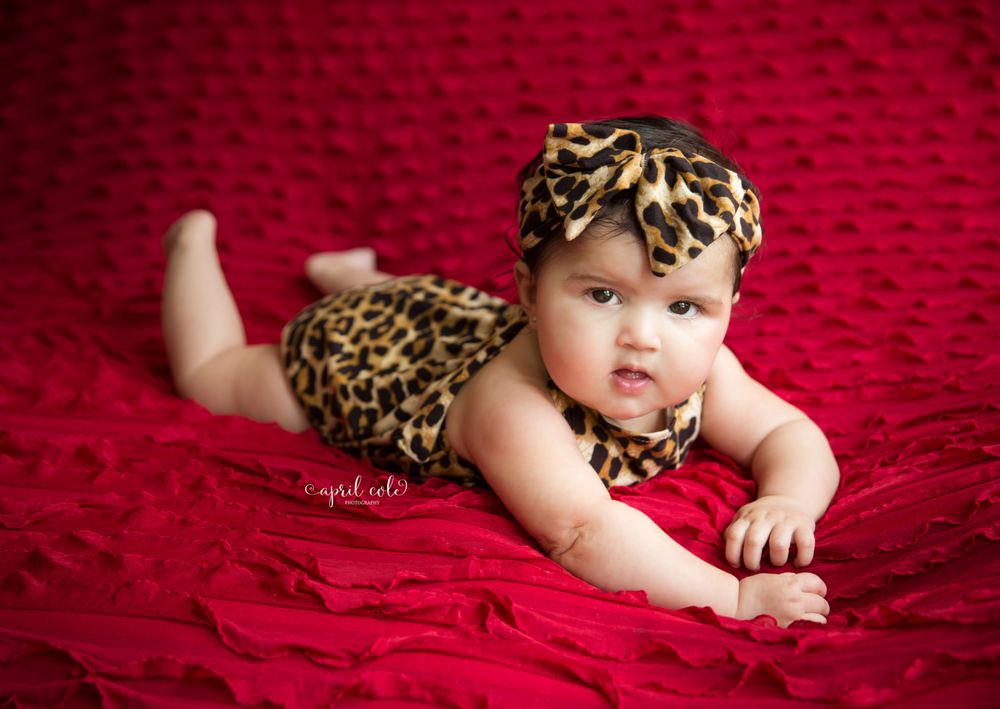 APRIL COLE PHOTOGRAPHY Updated July 2024 17 Photos 1802 Haw Village Dr, Graham, North