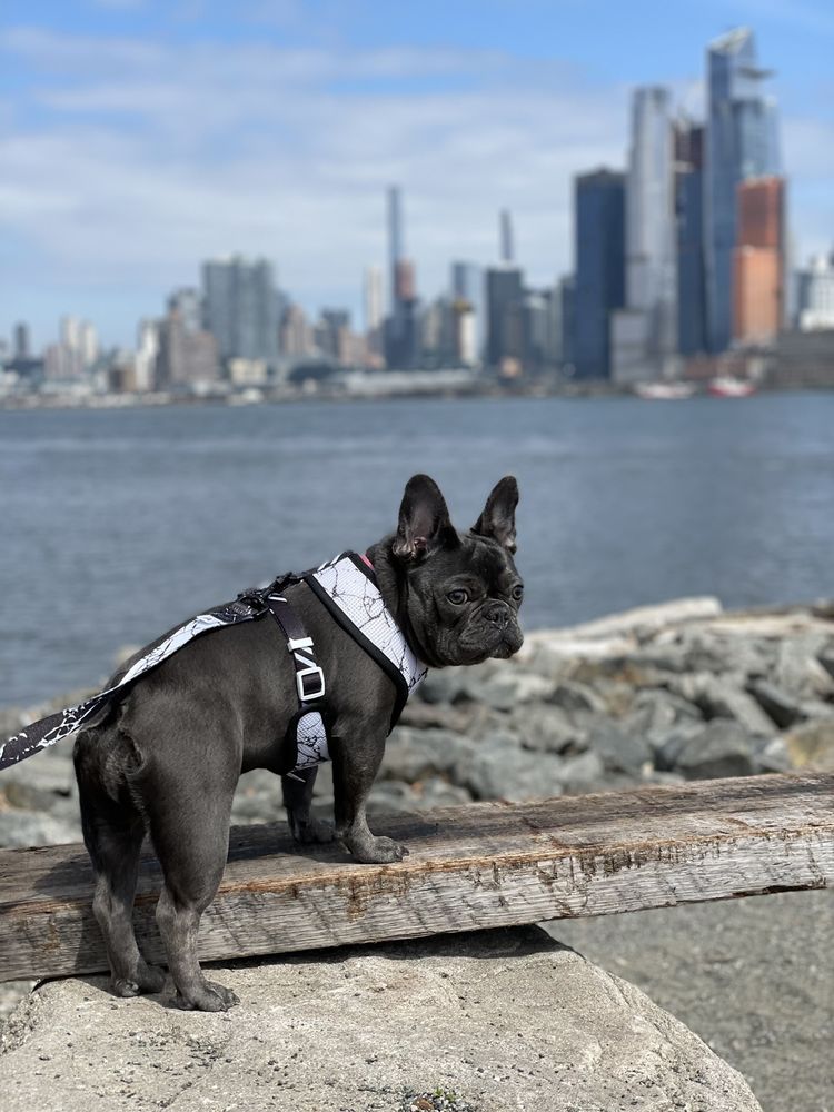 MAXWELL PLACE PARK Updated September 2024 43 Photos 1025 Maxwell