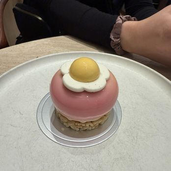 Salswee - This is the dessert we had with a gray bug crawled out of the rice crispy layer - Bakeries Near Me - New York, New York