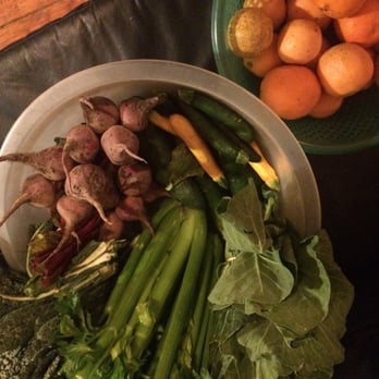 Savraw Local Farm Box - veggies included
* 3 bunches of celery
* 4 bunches of beets
* 2 black kale
* 2 collard greens
* 7 mini zuchinnis - Fruits & Veggies Near Me Savraw Local Farm Box - veggies included
* 3 bunches of celery
* 4 bunches of beets
* 2 black kale
* 2 collard greens
* 7 mini zuchinnis - Fruits & Veggies Near Me