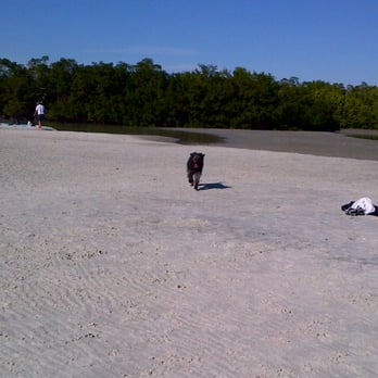 Dog Beach Park - Dog Parks Near Me - Fort Myers, Florida Dog Beach Park - Dog Parks Near Me - Fort Myers, Florida
