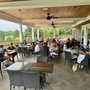 Photo of Brignole Vineyards
