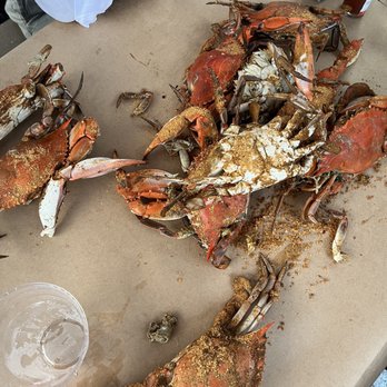 Cantler's Riverside - Blue crab - Seafood Near Me - Annapolis, Maryland Cantler's Riverside - Blue crab - Seafood Near Me - Annapolis, Maryland