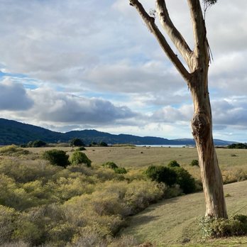 The Black Heron Inn - Guest Houses Near Me - Point Reyes Station, California