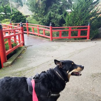 Choshi Gardens - Alley says "Bring your pups!" - Parks Near Me - Coos Bay, Oregon Choshi Gardens - Alley says "Bring your pups!" - Parks Near Me - Coos Bay, Oregon