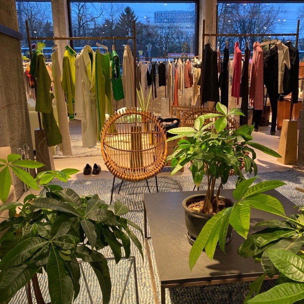 The Store Kitchen - Plants, chair and clothing at The Store Kitchen - Cafes Near Me - Berlin, BE