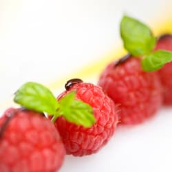 Trend-Catering