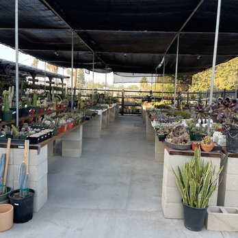 MiMi Nursery - Nurseries & Gardening Near Me - Garden Grove, California MiMi Nursery - Nurseries & Gardening Near Me - Garden Grove, California