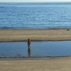 Coastal Getaways of South Carolina