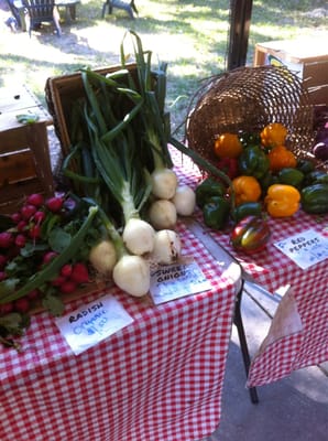 Orlando Farmers' Market by null