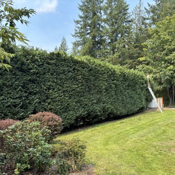 DH Hauling and Demo - Hedge trimming - Demolition Services Near Me DH Hauling and Demo - Hedge trimming - Demolition Services Near Me