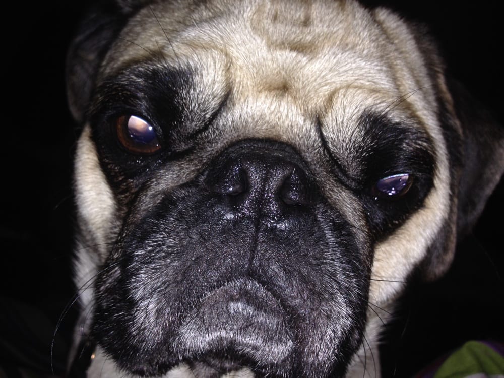 Slide of Performance Plumbing & Drain