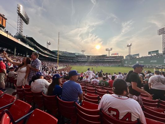 Fenway Park by null