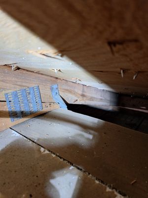 Third Nail King Logo