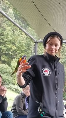 Kiwi Park Queenstown by null