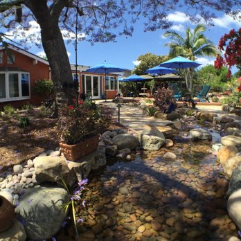 Pacific Dreamscapes - Looking downstream - Landscaping Near Me - La Mesa, California Pacific Dreamscapes - Looking downstream - Landscaping Near Me - La Mesa, California