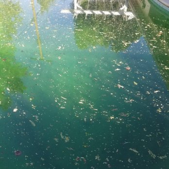 Pacific Coast Pool Service - Pool & Hot Tub Service Near Me