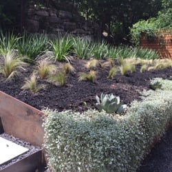 Custom steel beds and native/adapted native plants