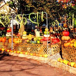 The Garden Shoppe - The Garden Shoppe -- fall bling!