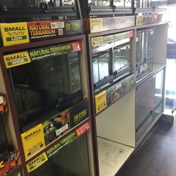 Reptile Island - Pet Stores Near Me - Stanton, California