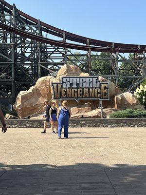 Steel Vengeance by null