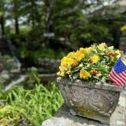 The Blowing Rock