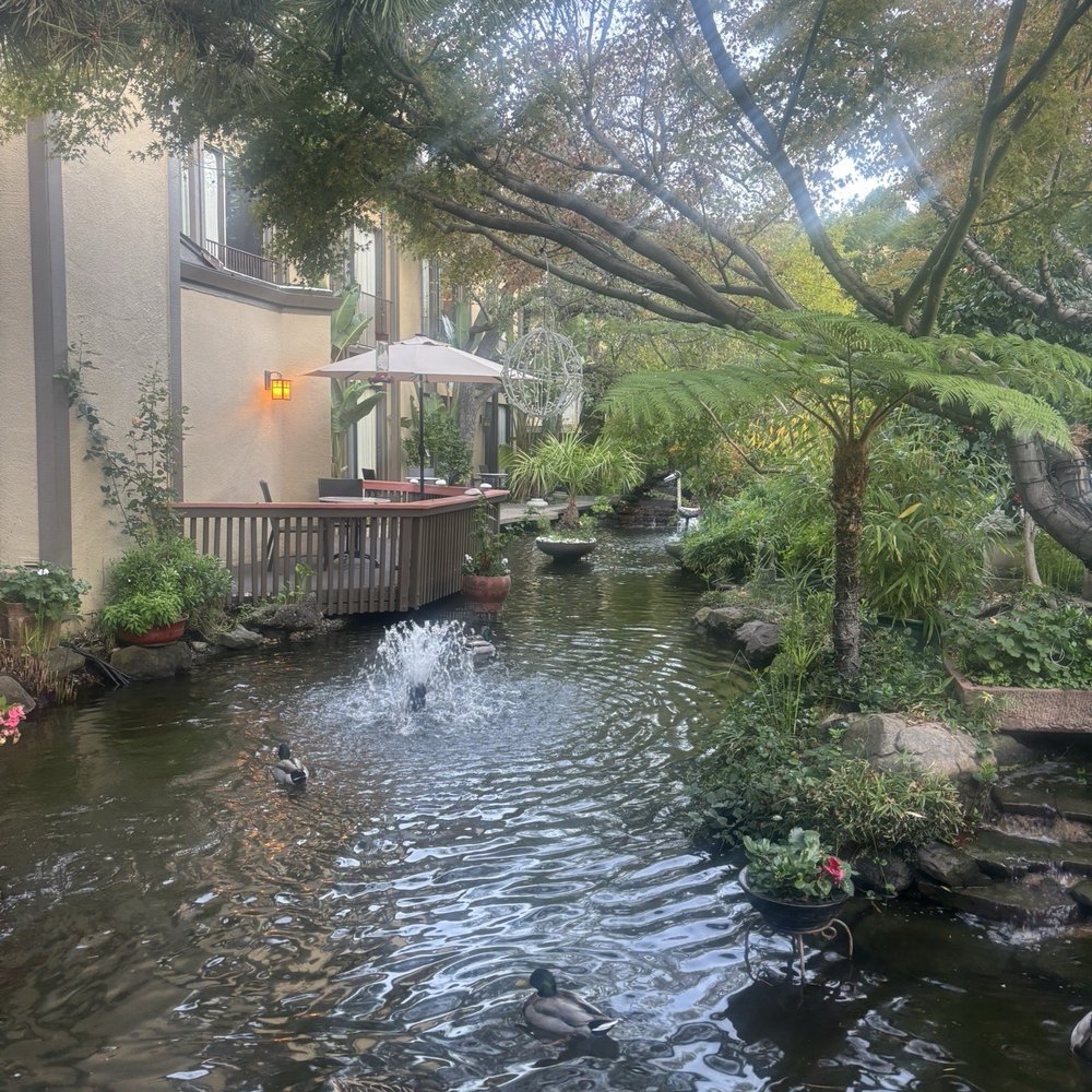Dinah's Poolside Restaurant - American Near Me - Palo Alto, California