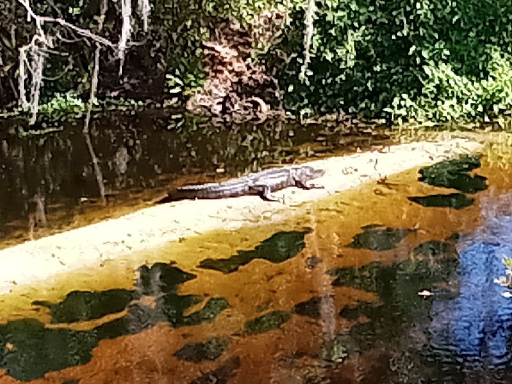 Fenney Springs Nature Trail Image
