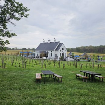 Bleu Frog Vineyards - Wine Tasting Room Near Me - Leesburg, Virginia