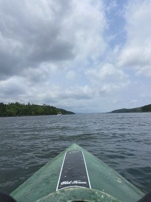 Lake Ouachita State Park by null